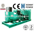 300kVA Googol Marque Diesel Generator Electric Power